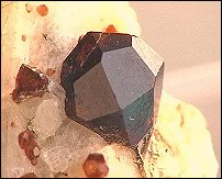 Garnet