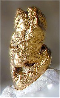 Gold Nugget